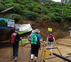 Po stopnicah na Adamov vrh